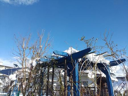 《バラ庭》つれづれ～・・きのうは、午後から青空。。。！