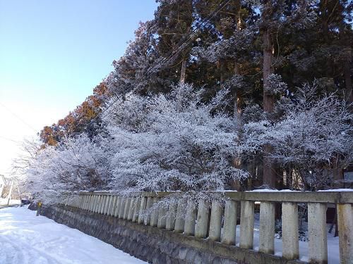 《バラ庭》つれづれ～・・きょうの長井一の宮、總宮神社。。。