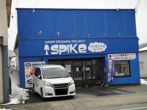 《バラ庭》つれづれ～・・長井市のけん玉、先日はNHKあさイチに！