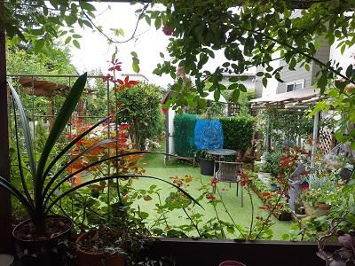 《バラ庭》つれづれ～・・きょうは盆入り。。。