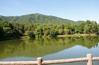 《バラ庭》つれづれ～・・きのうは、中里堤へ！