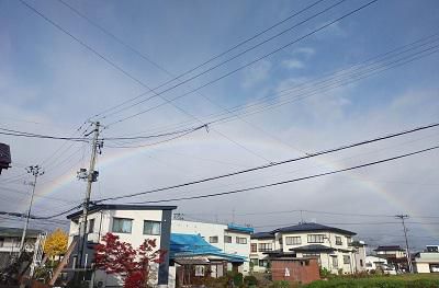 《バラ庭》ガーデンNOW～・・冬支度、雨でなかなか進まず・・・！