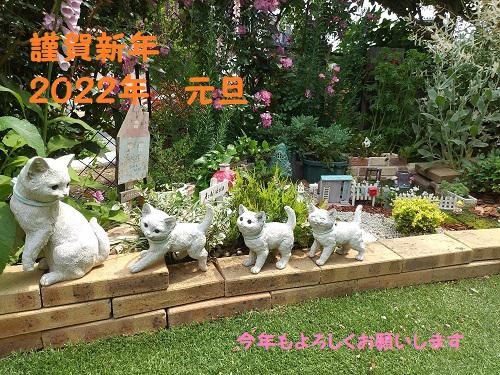《バラ庭》つれづれ～・・明けましておめでとうございます!(^^)!