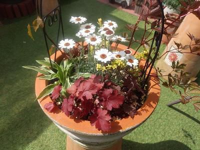 《バラ庭》ガーデン～・・(回想）去年の鉢植えは。。。