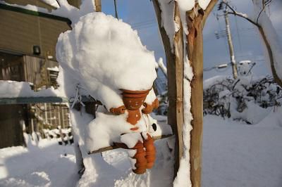 《バラ庭》ガーデンNOW～・・昨日は雪下ろし作業・・・