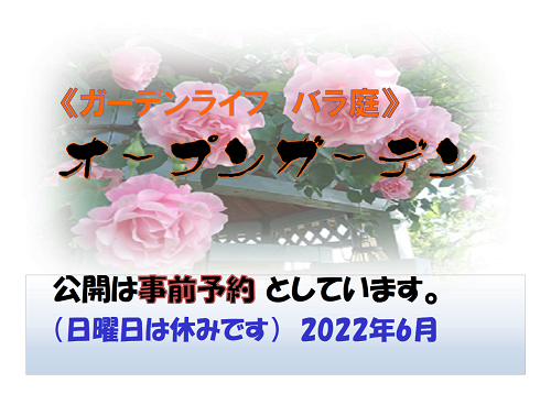 《バラ庭》オープンガーデン～・・事前予約で公開します～