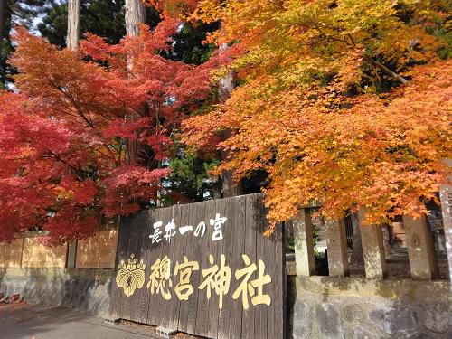 《バラ庭》つれづれ～・・長井一の宮、總宮神社の紅葉を今年も～