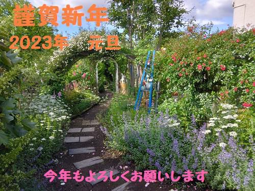 《バラ庭》つれづれ～・・あけましておめでとうございます!(^^)!