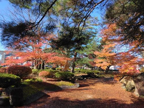 《バラ庭》つれづれ～今日１１月２２日は。。。