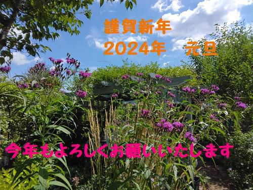 《バラ庭》つれづれ～明けましておめでとうございます!(^^)!