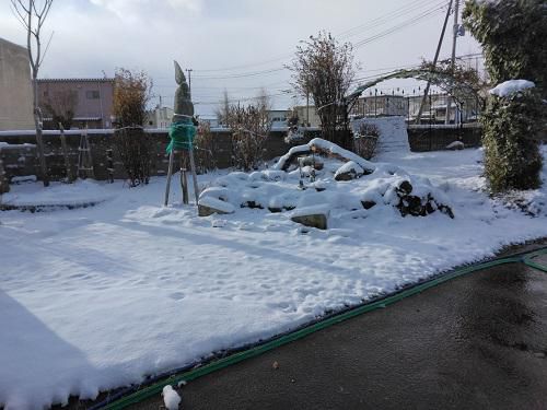 《バラ庭》冬休みブログ～・・1/8（回想）今朝は寒く、雪でうっすらと白く！