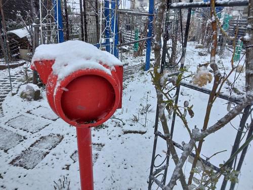 《バラ庭》冬休みブログ～・・1/15（回想）徐々に雪も降り始め、風も強く・・・