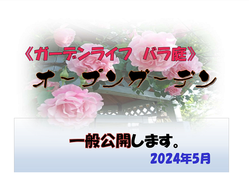 《バラ庭》オープンガーデン～今年も実施します～♪