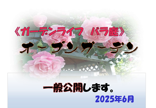 《バラ庭》オープンガーデン～今年も実施します～♪