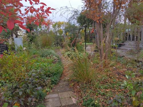 《バラ庭》ガーデンNOW～冬支度もう少し・・・