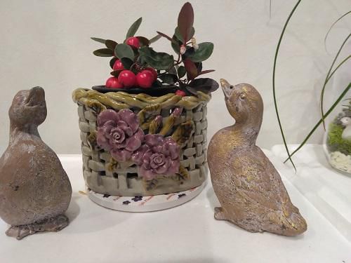 《バラ庭》ばーばの庭遊び～・・ミニガーデンも冬じまい・・・