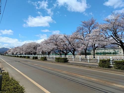 《バラ庭》ガーデンNOW～きょうの気温差は21.2℃！