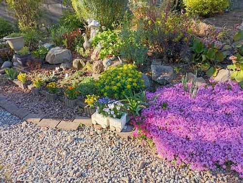 《バラ庭》ガーデンワーク～バラ庭から宿根草の庭へ～♪