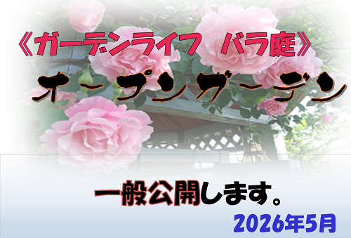 《バラ庭》オープンガーデン～今年も実施します～♪