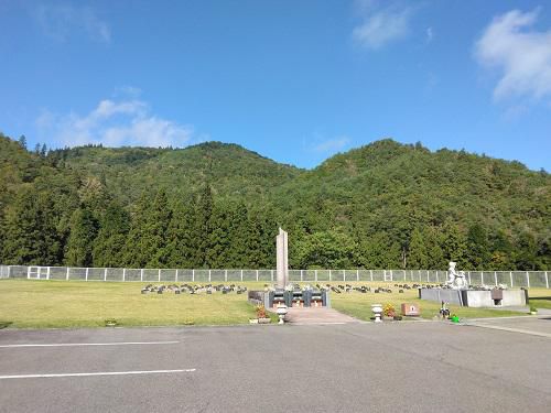 《バラ庭》黒柴サスケ~・・サスケ天国へ