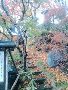 米沢城三の丸