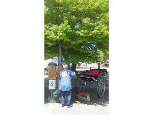 人力車ご利用ください♪