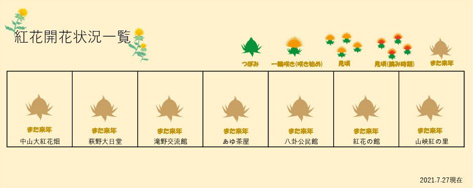 21.7.27 紅花畑