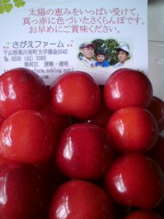 とびっきり美味しい゛さくらんぼ゛