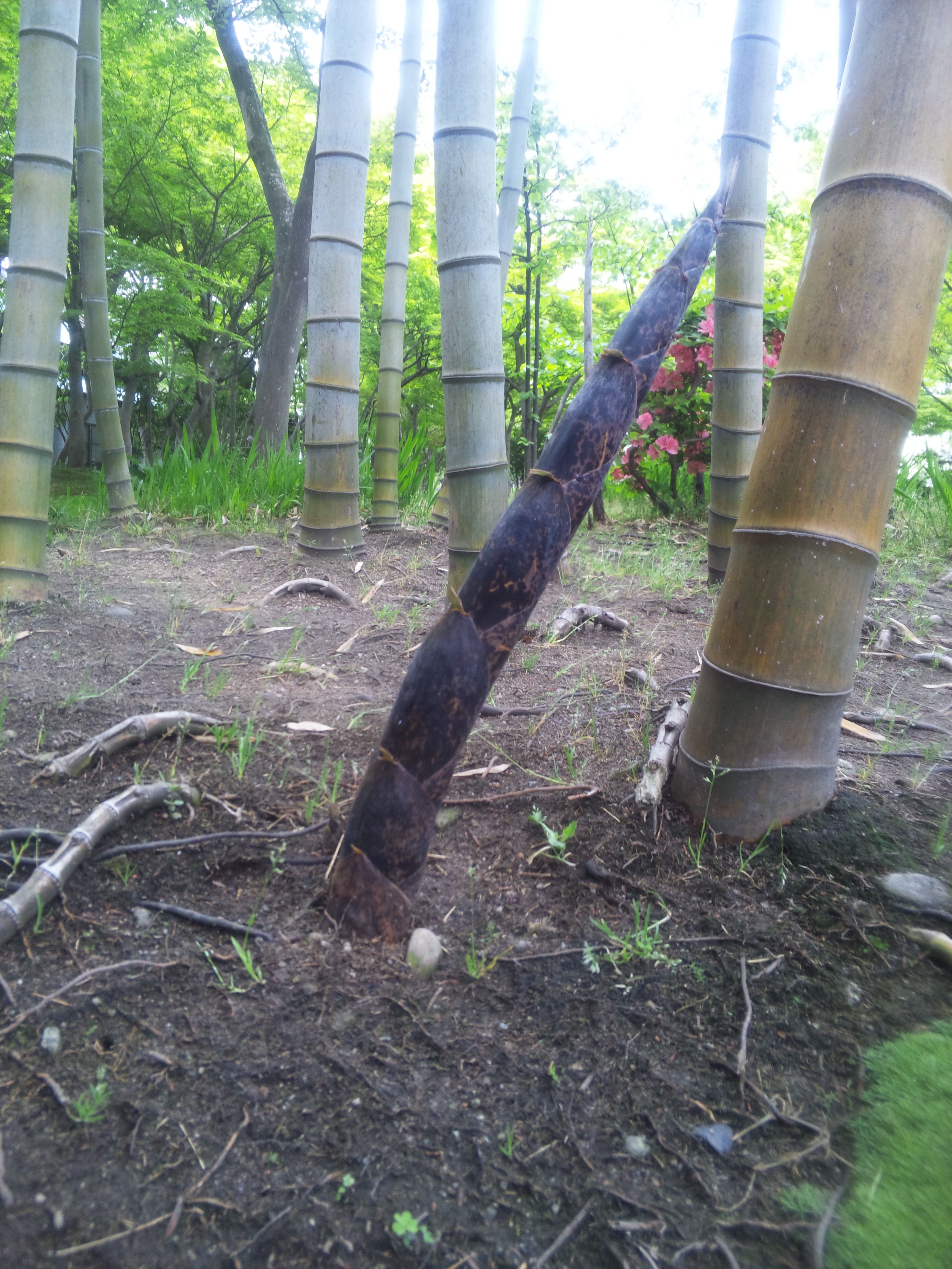 やませ藏美術館