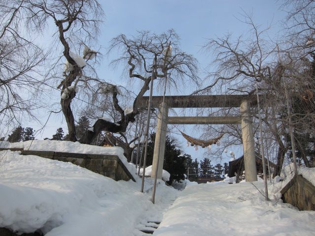 冬の烏帽子山千本桜