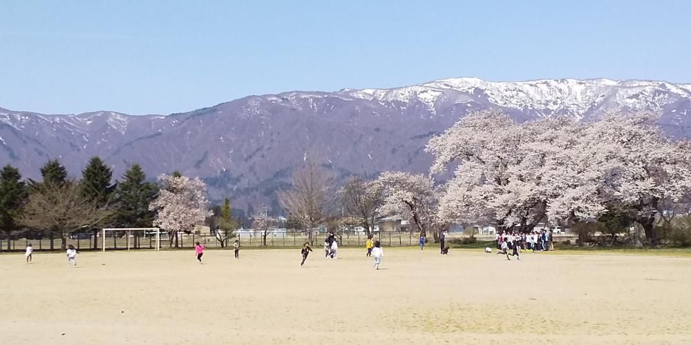 4/12＃２２０　桜咲くグラウンドに全員集合。