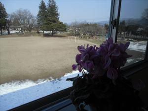3/8（水）＃６５３　雪がとけて、地面が顔を出して。