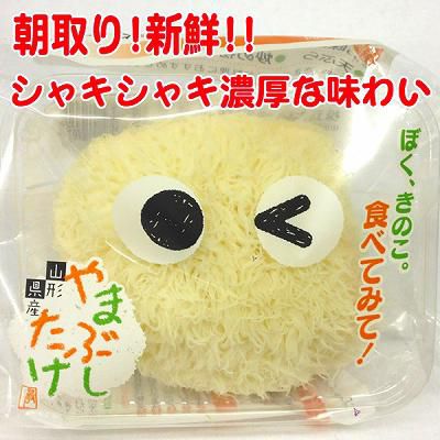 やまぶしたけ