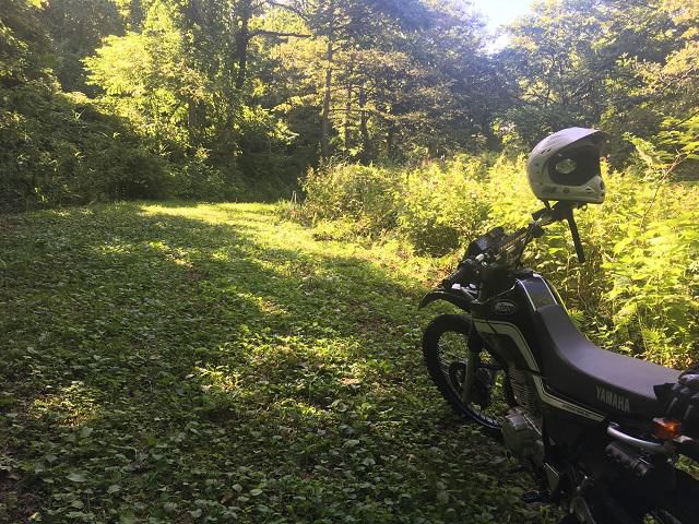 ちょい乗り