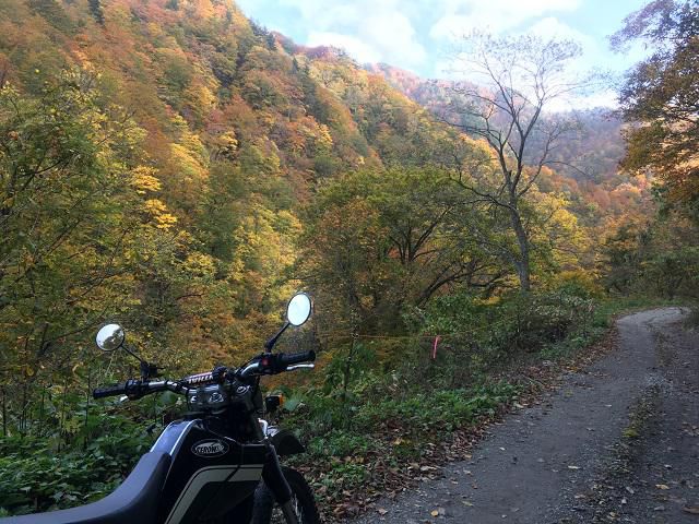 久しぶりに