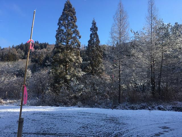 出張点検