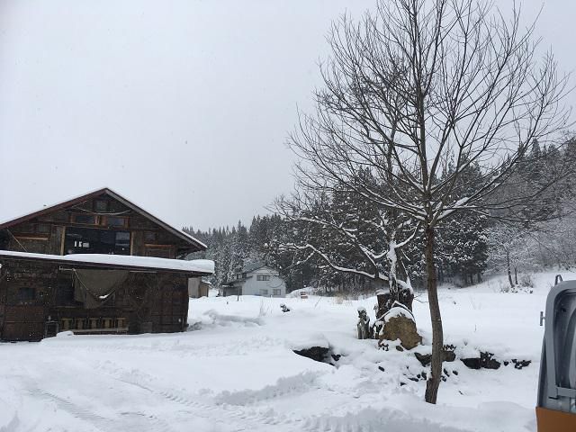 豪雪地域の
