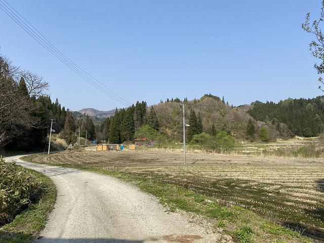 昨日から