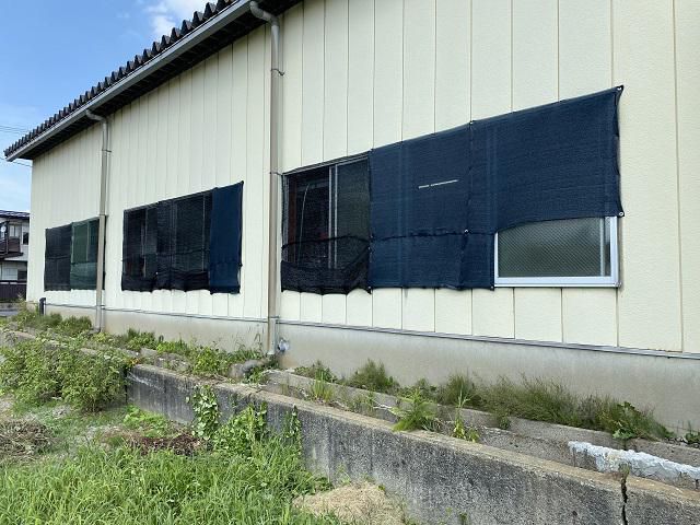 炎天下