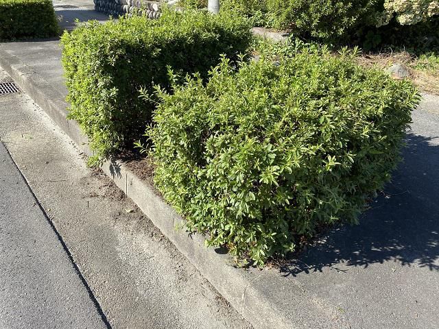 草むしりとか