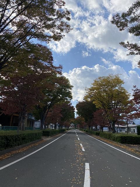 ちょっと近所まで