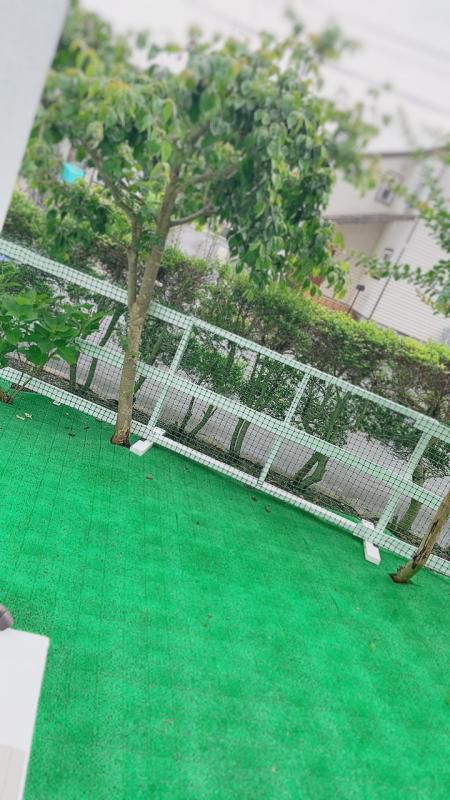 今月は今週土曜日まで