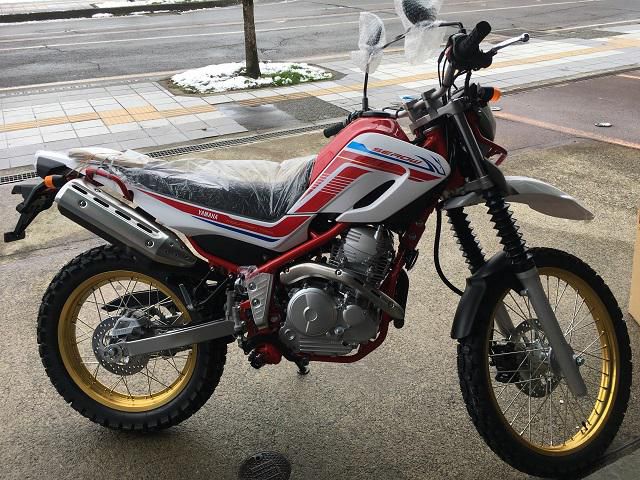 セロー２５０　FINAL EDITION（ホワイト/レッド）入荷しました。