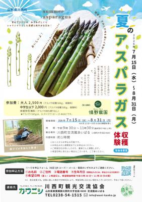 「夏のアスパラガス収穫体験」参加者募集中