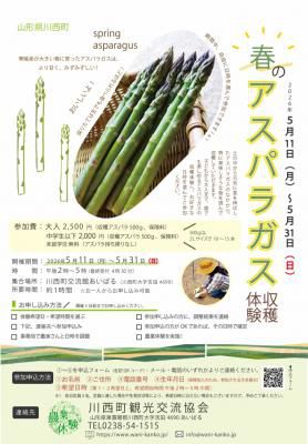 5月開催「春のアスパラガス収穫体験（川西町）」 参加者募集 ／