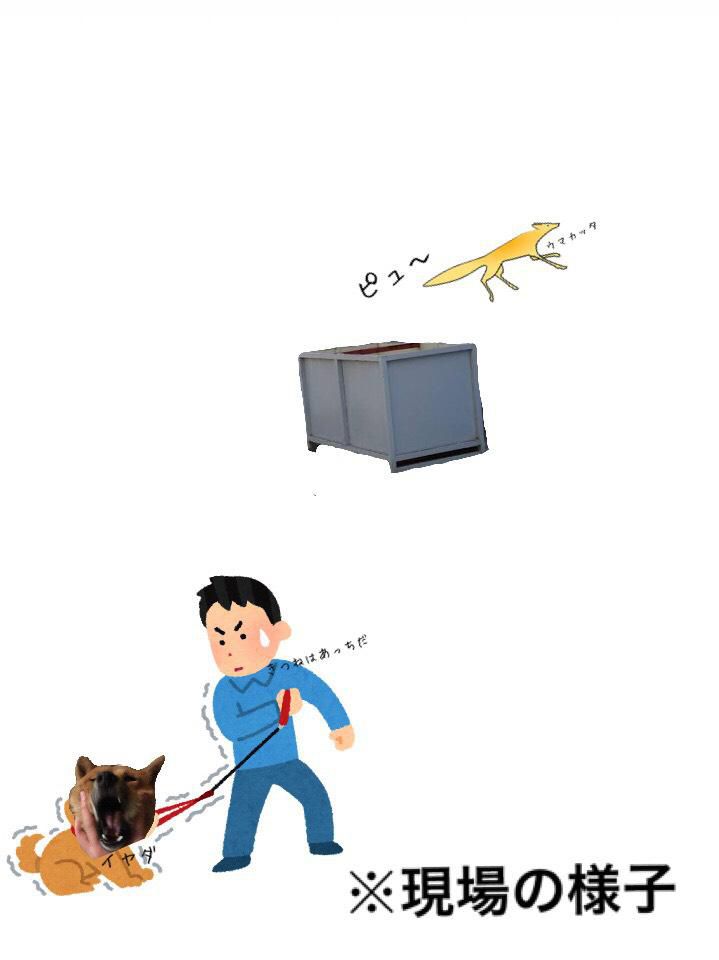 我が家の事件簿?