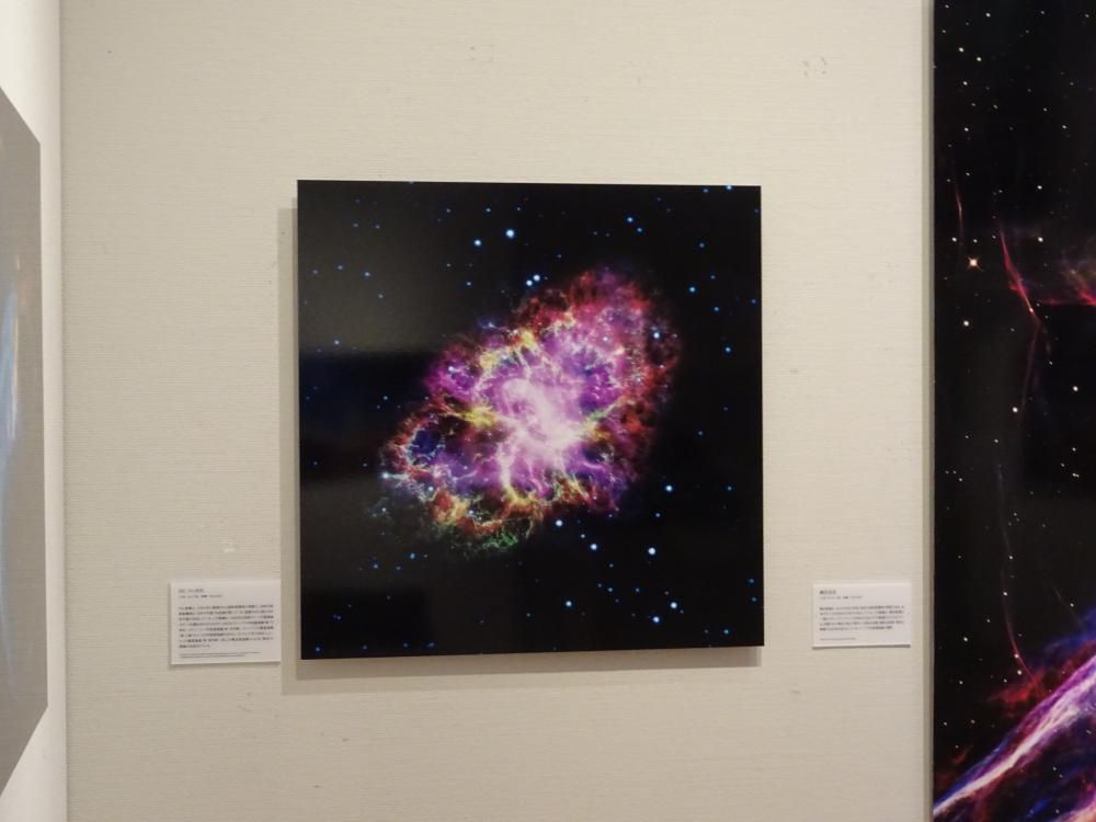 企画展「138億光年 宇宙の旅」展示紹介⑭