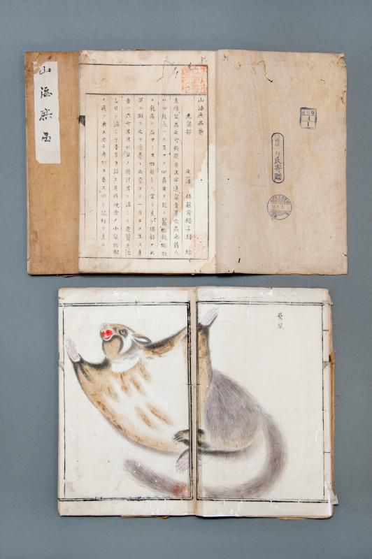 特別展「上杉鷹山の生涯～藩政改革と家臣団～」展示紹介⑧