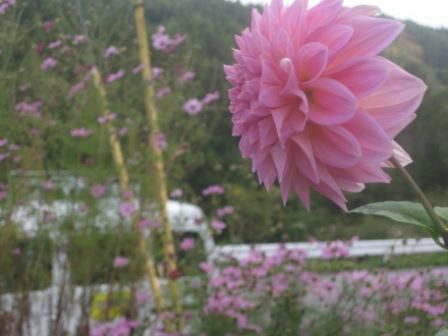 つないでゆくこと