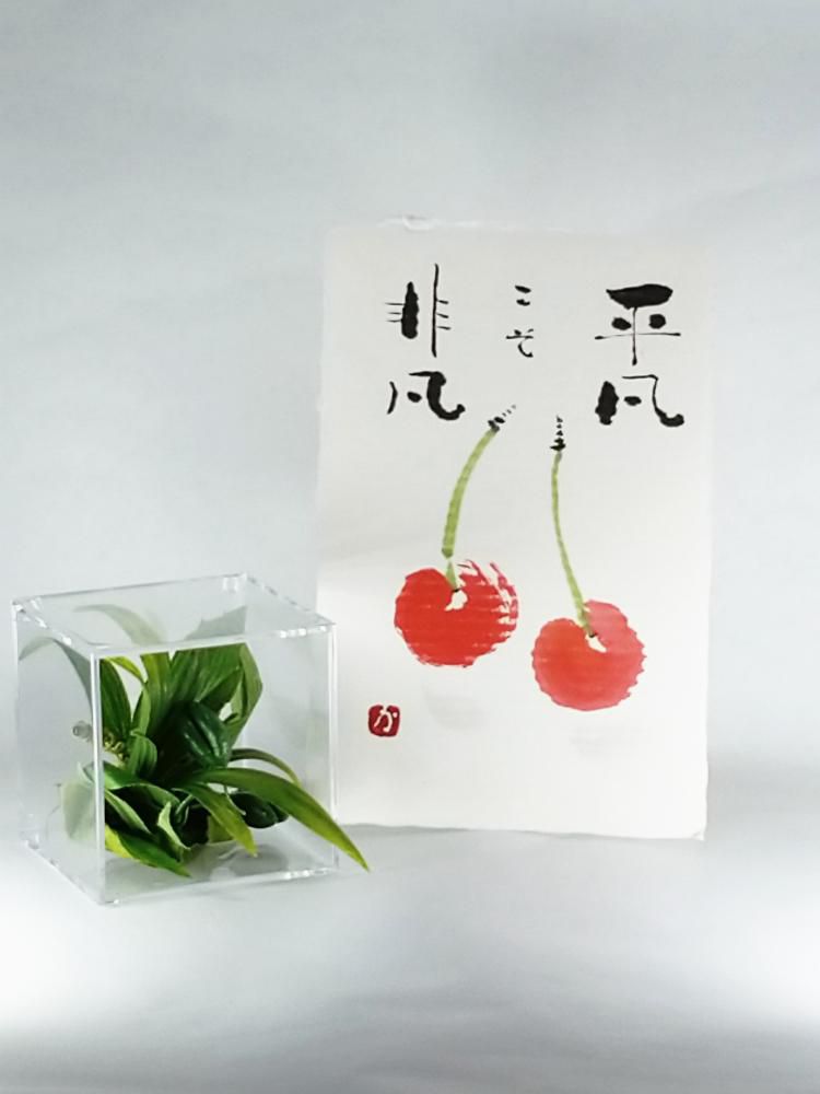 絵てがみ（山形のさくらんぼ）×てのり花